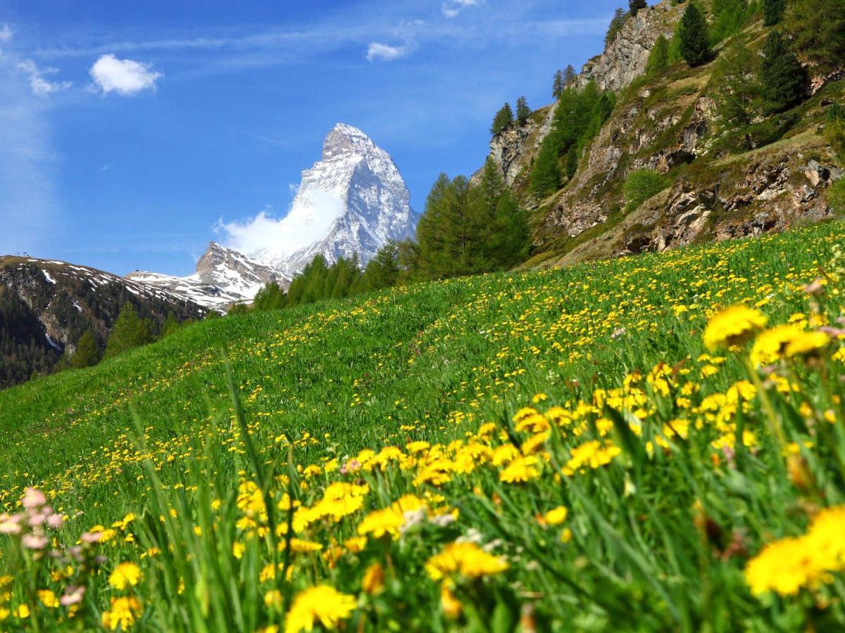 Apartment Zen Stecken A Zermatt Exterior foto